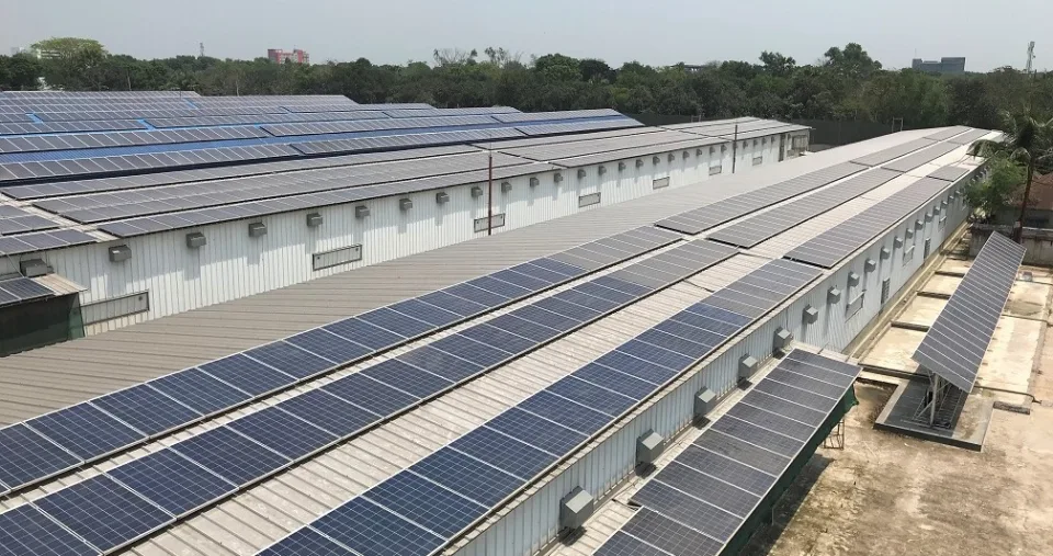 Paragon Poultry rooftop solar
